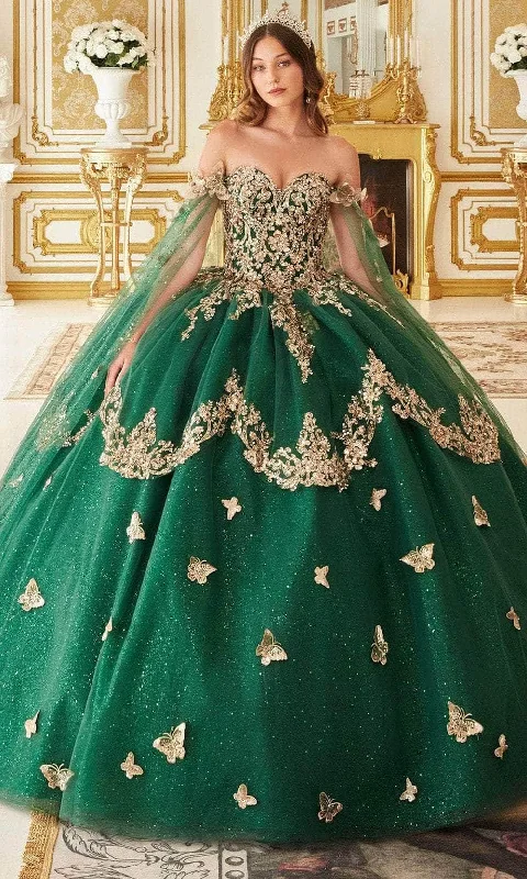 Women's Clothing For Outdoor Activities Ladivine 15721 - Applique Butterfly Ballgown